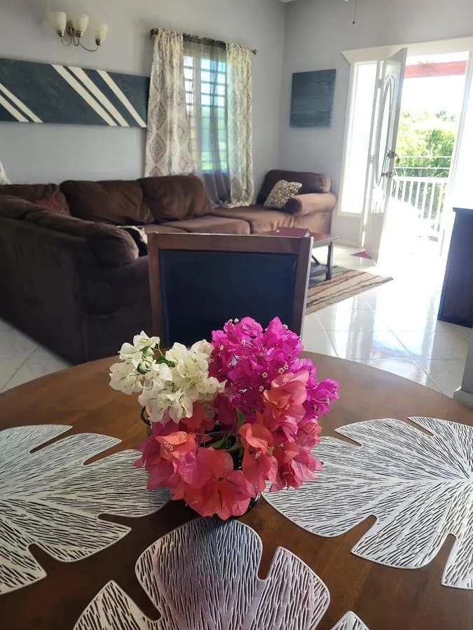 Mount Joy Getaway Villa Parham Holiday home